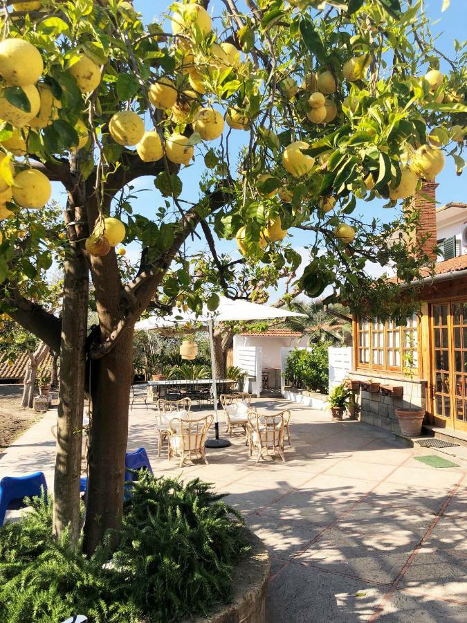 Casa Lucia Bed & Breakfast Sorrento Exterior foto